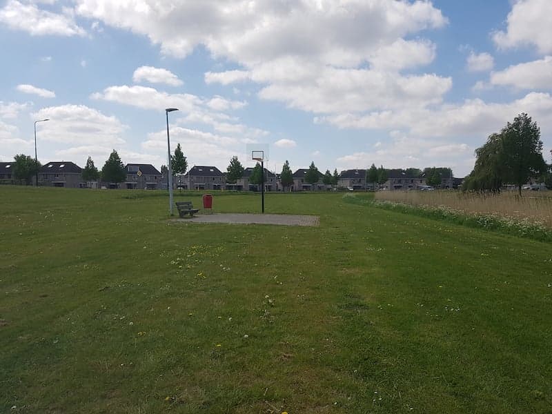 Terrain de basketball