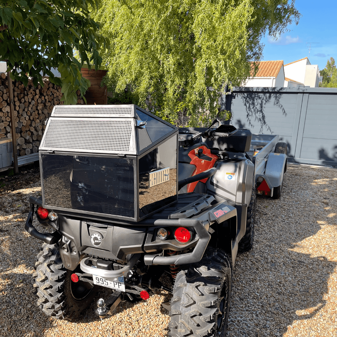 Caisse de transport pour chien