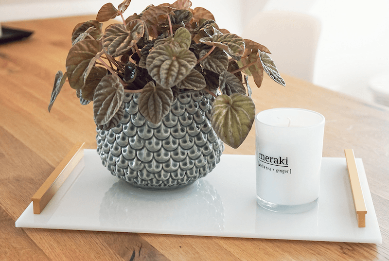 Platuea plexiglass blanc opale