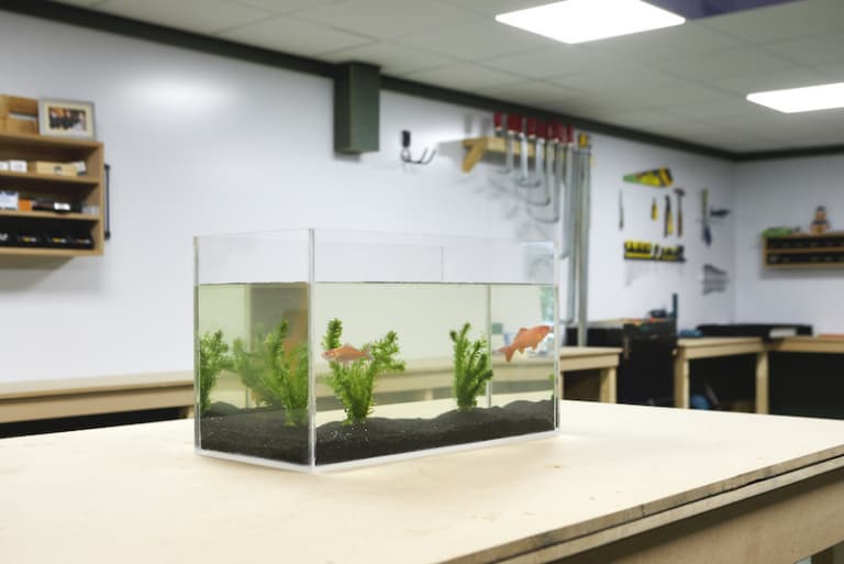 Plexiglas-aquarium-eindresultaat-met-visjes-768x513