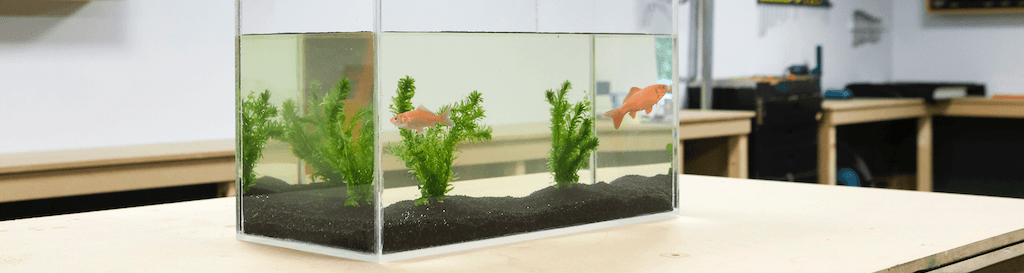 Rénovation d'un aquarium banner