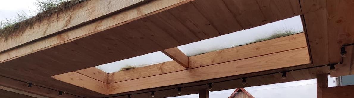 Créer de la lumière dans la bannière de la canopée