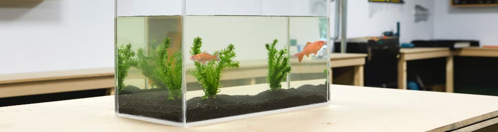 Zelf-een-aquarium-maken-van-plexiglas (1)