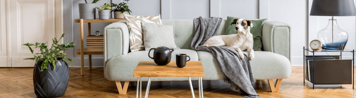 Idee deco maison attrayant salon