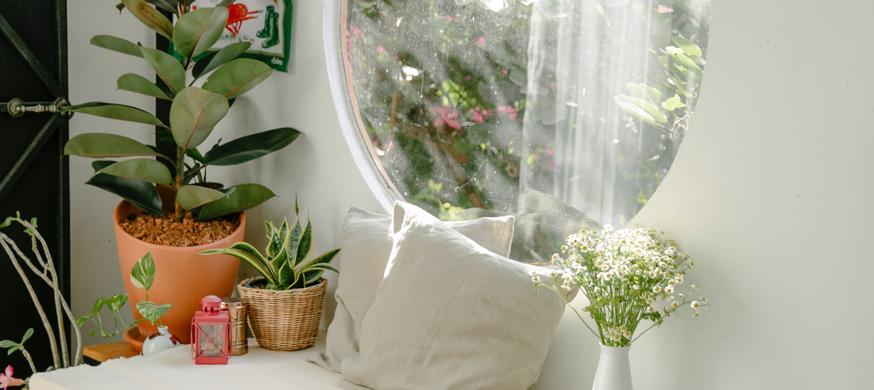 pexels-teona-swift-6850585-kopie