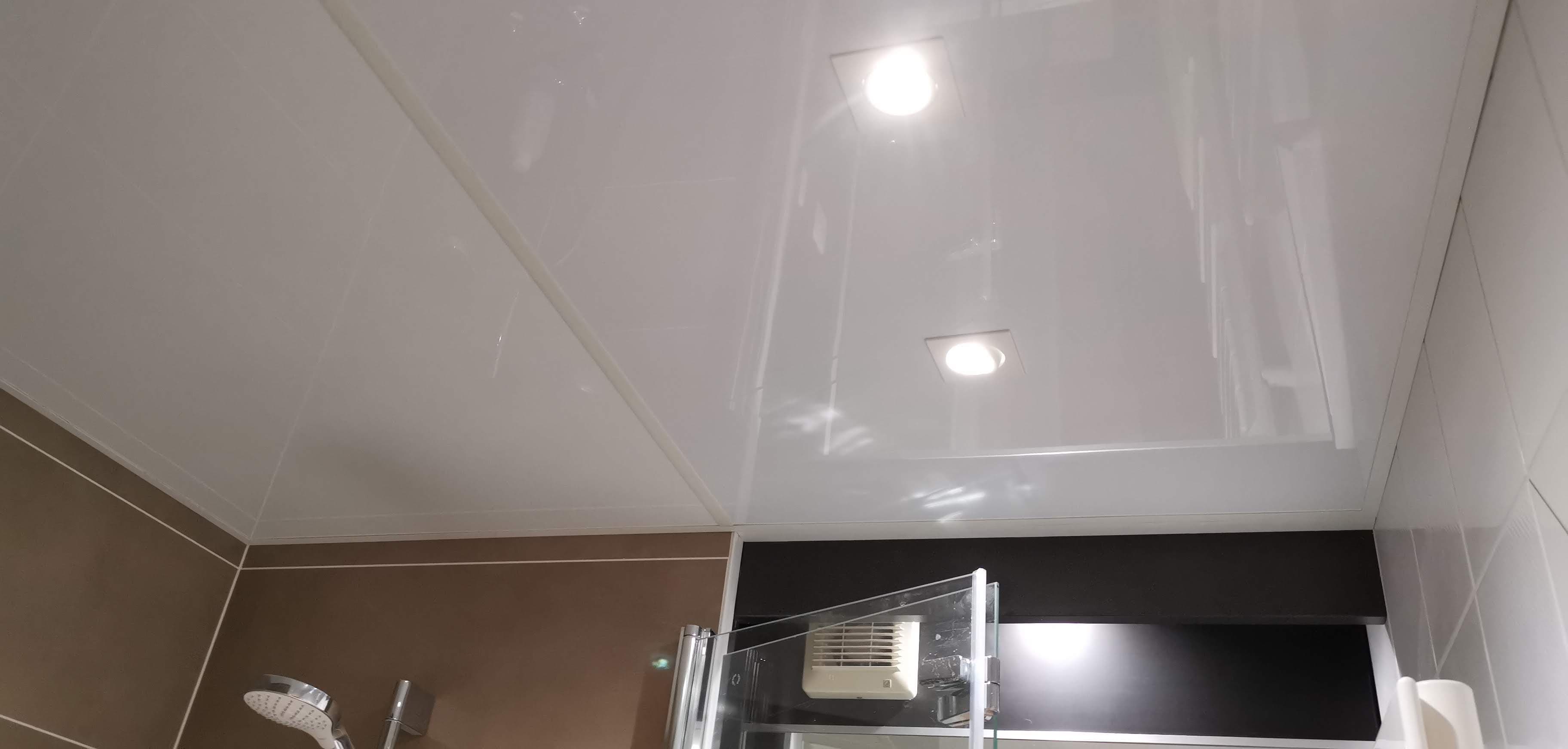 Faux plafond de salle de bain en panneaux composites 3
