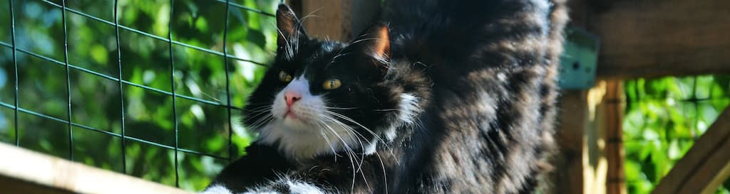 Enclos pour animaux en plastique | Plaqueplastique.fr