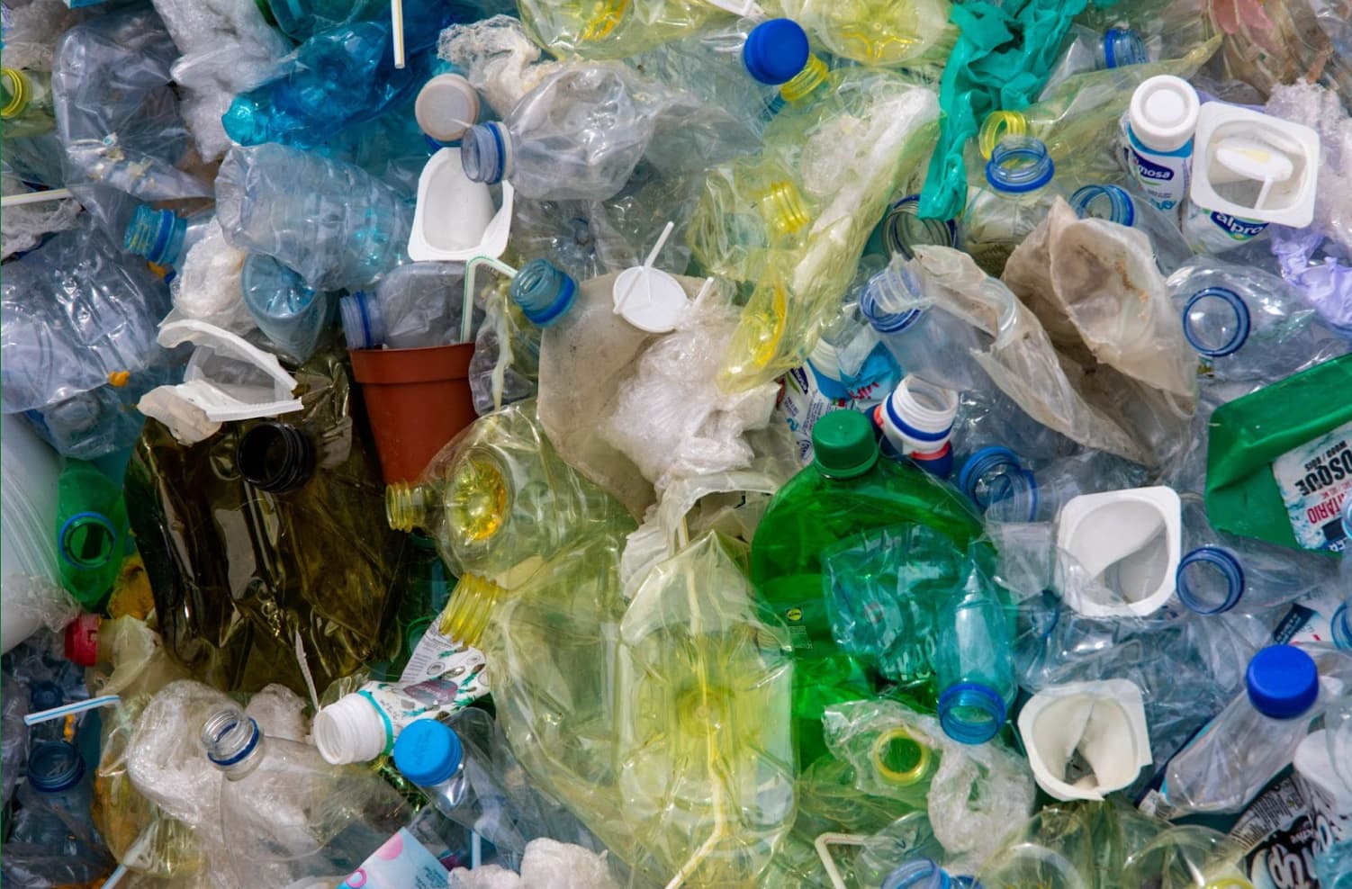 Enquête sur le recyclage en France : entre bonnes intentions et erreurs de tri