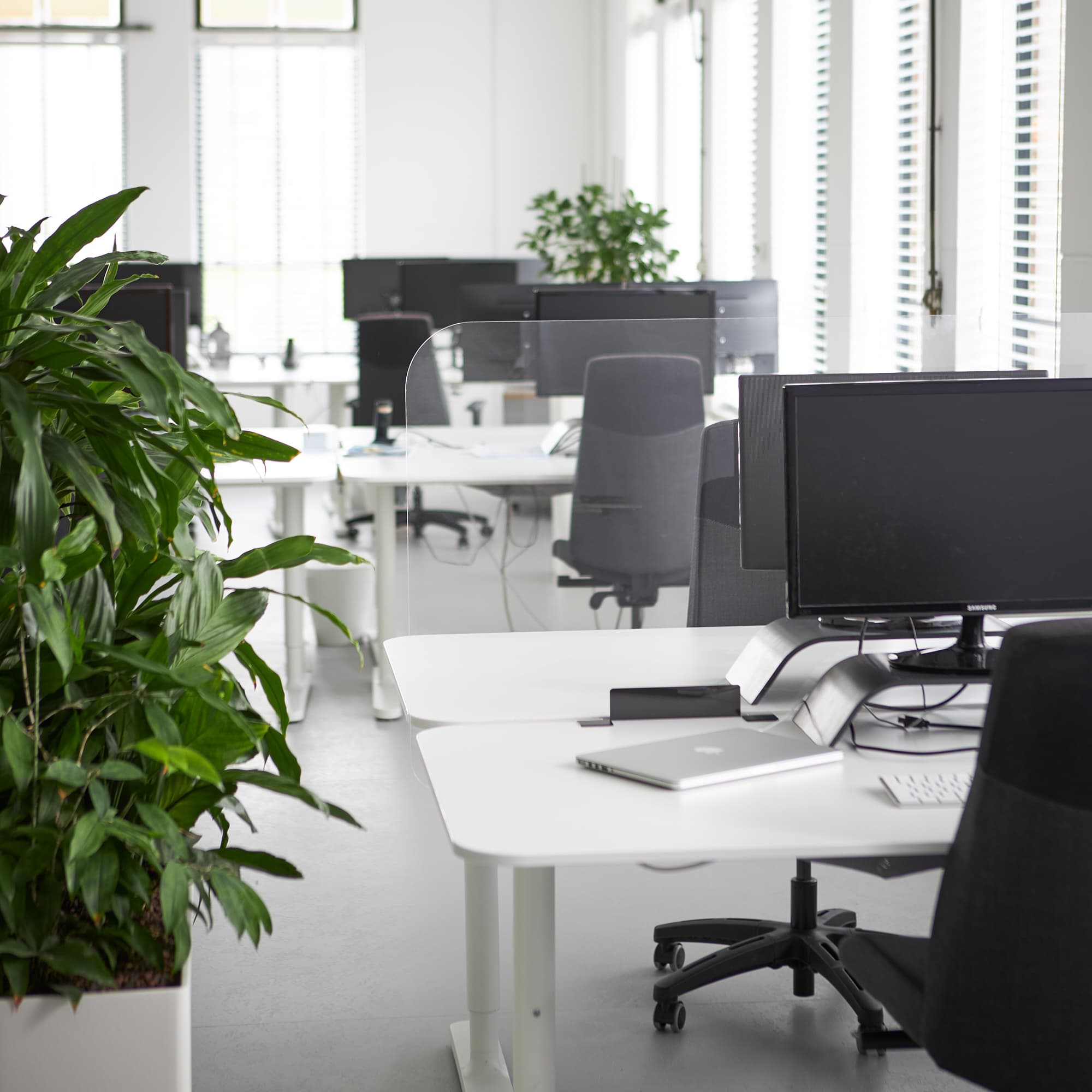 Grande cloison de bureau en plexiglas