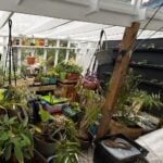 Aller à l’image 3