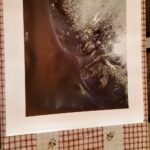 Aller à l’image 2